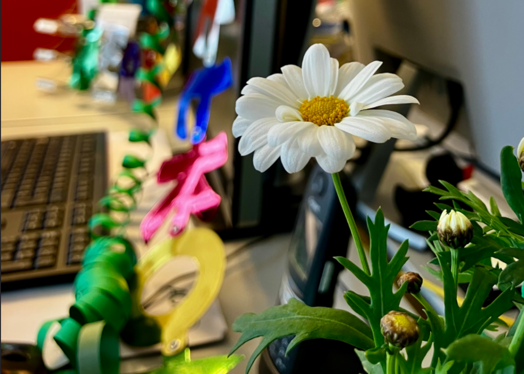 Ein Schreibtisch mit einem Computerbildschirm und einer Tastatur. Im Vordergrund ist eine Blume zu sehen. Über dem Bildschirm hängt eine bunte Girlande.